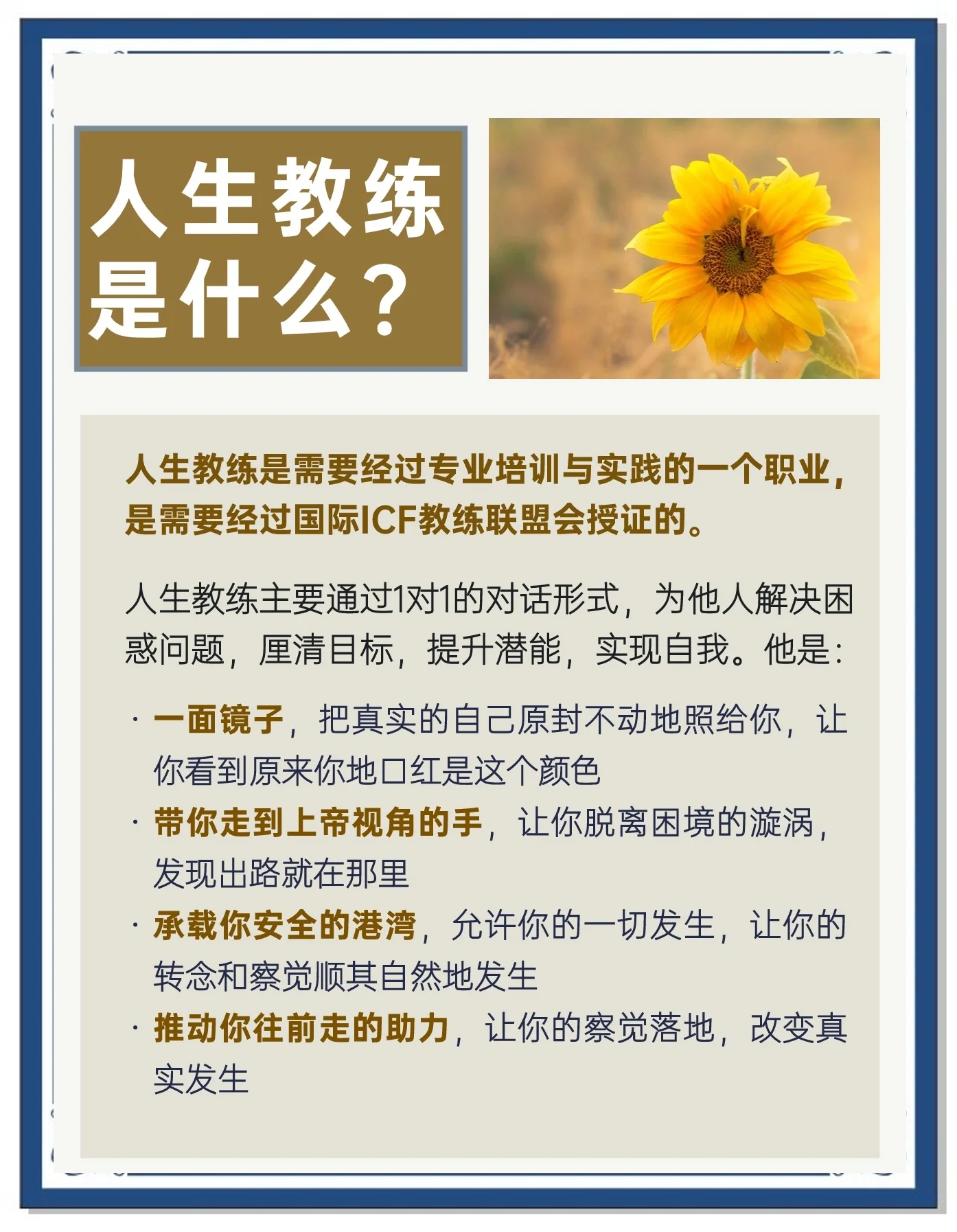 包含“青训专家：培养专业化教练员为行业注入新活力”的词条