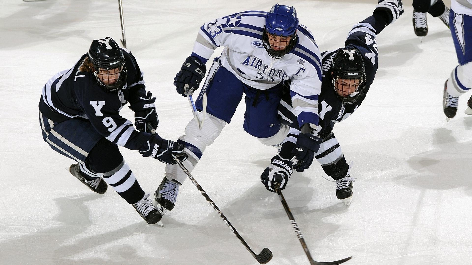 开云体育ios-海藻潜水大赛，探索海底神秘的奇幻世界，打捞海藻